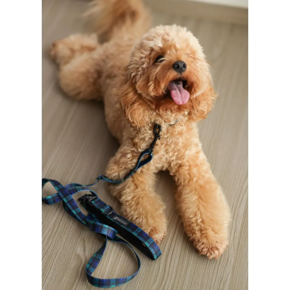 Boss & Olly Convertible Multi-Functional Dog Leash (Forest Plaids)