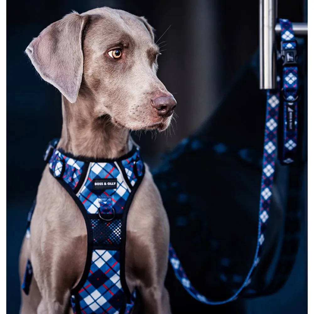 Boss & Olly Convertible Multi-Functional Dog Leash (Nautical Plaids)