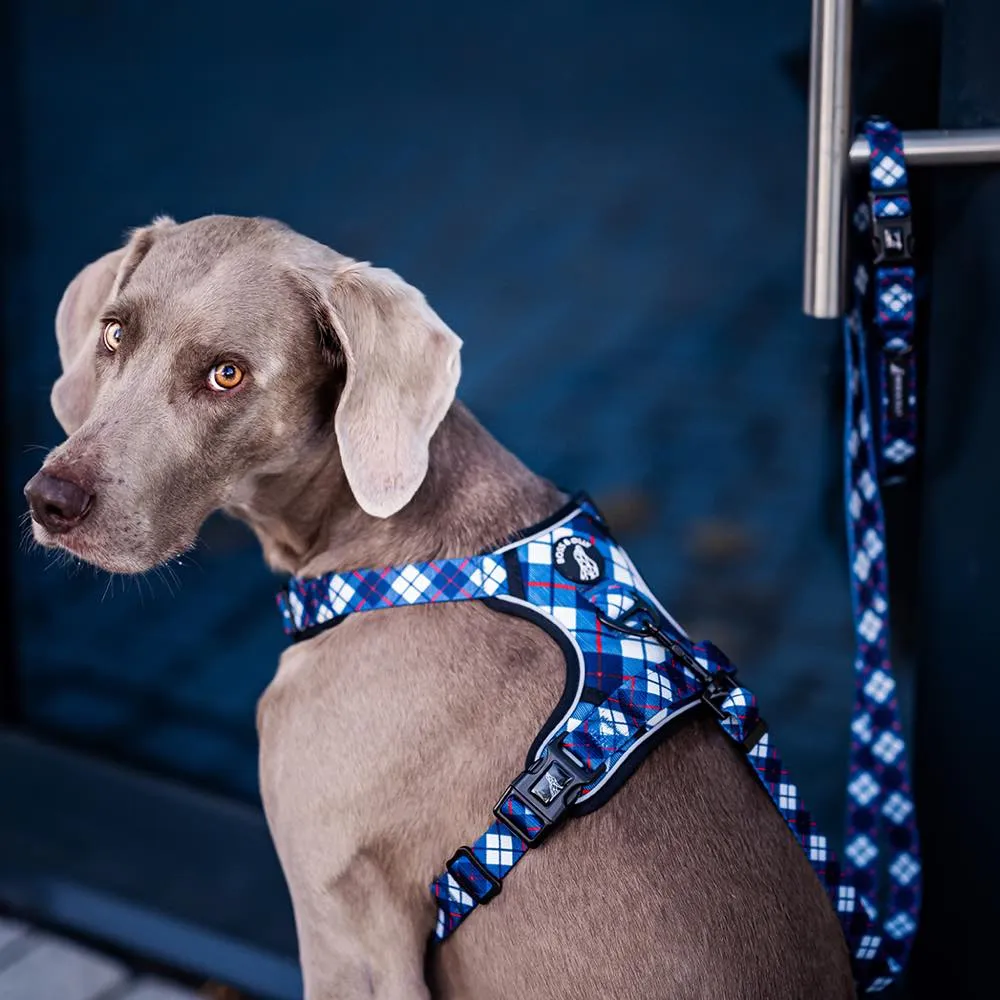 Boss & Olly Convertible Multi-Functional Dog Leash (Nautical Plaids)