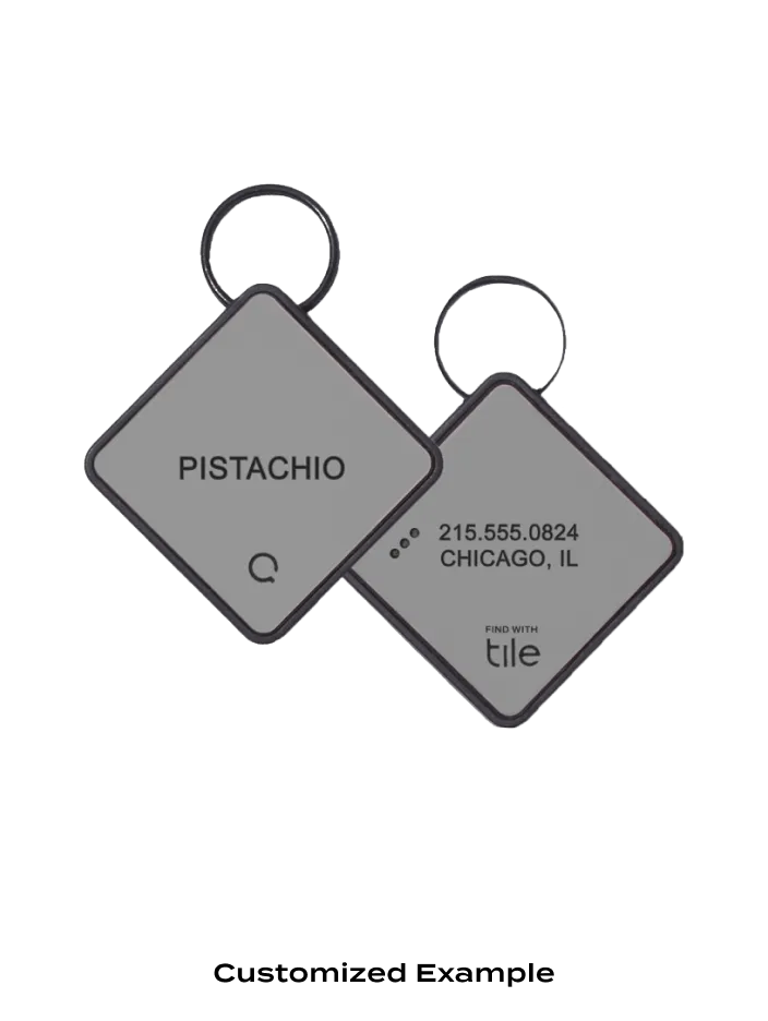 QALO TraQ Grey Silicone Dog ID Tag