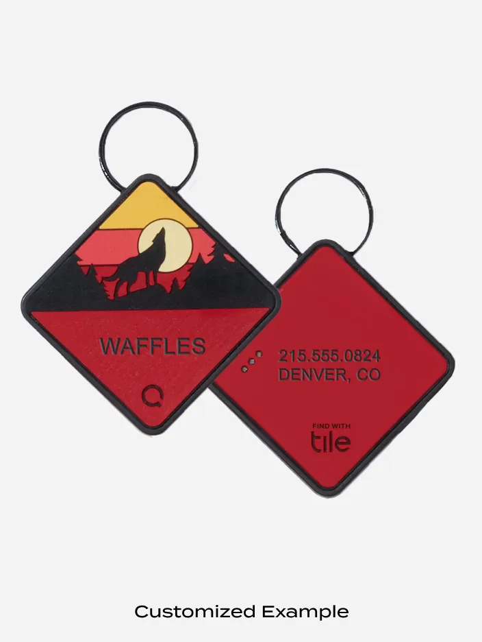 QALO TraQ Sunrise Wild One Dog ID Tag