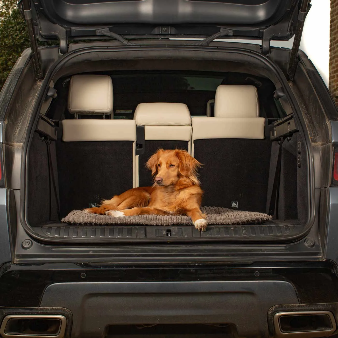 Travel Mat in Dark Grey Essentials Plush by Lords & Labradors