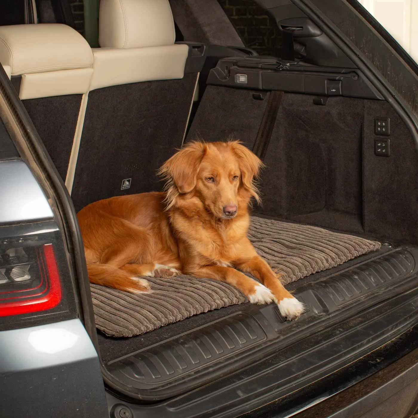 Travel Mat in Dark Grey Essentials Plush by Lords & Labradors